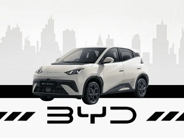 BYD Atto 1 (Seagull)