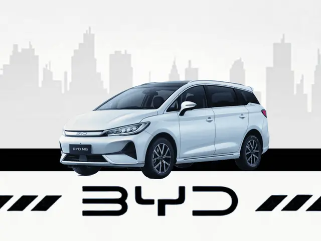 BYD M6
